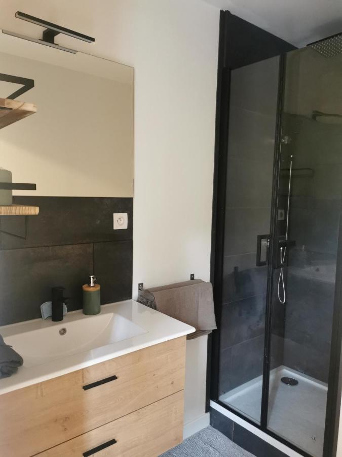 Charmant Appartement A 1 Minute Du Lac Анси Экстерьер фото